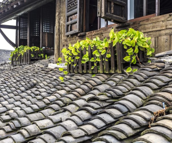 chinise-building chinise-building