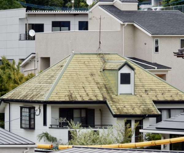 exterior-buildings-town Old Roof Replacement