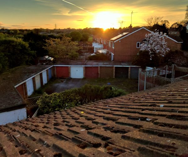view-trees-against-sky-sunset Roof Repair Services in Lewisville & All of DFW
